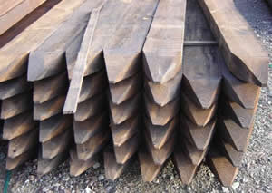 Timber Posts